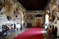 /album/fotogalerie-statni-zamek-telc-klenot-renesancni-architektury/lovecky-sal-trasa-a-jpg1/